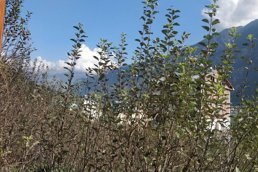 Aroma TARU VILLA / cottage ,Manali Esterno foto