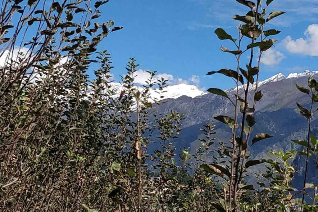 Aroma TARU VILLA / cottage ,Manali Esterno foto