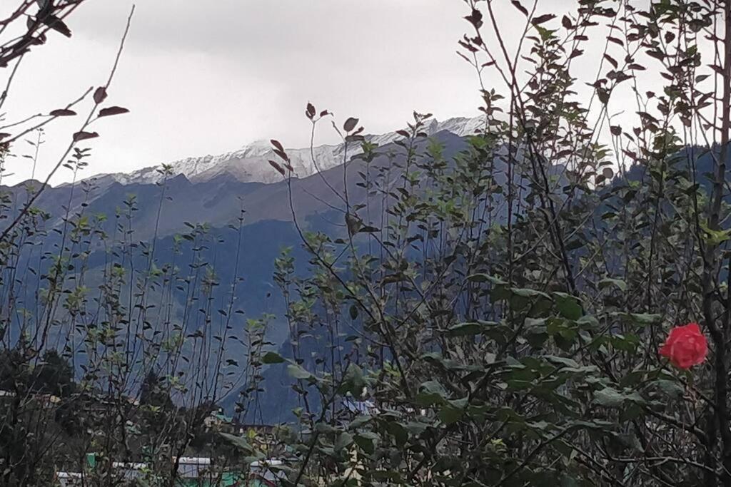 Aroma TARU VILLA / cottage ,Manali Esterno foto
